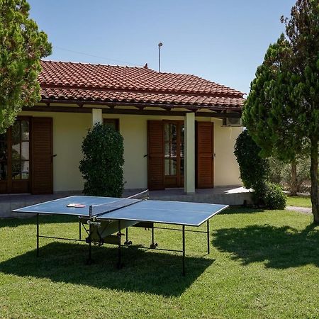 Lefkothea Villas With Large Pool, Bbq & Playground アデリアノス・カンポス エクステリア 写真